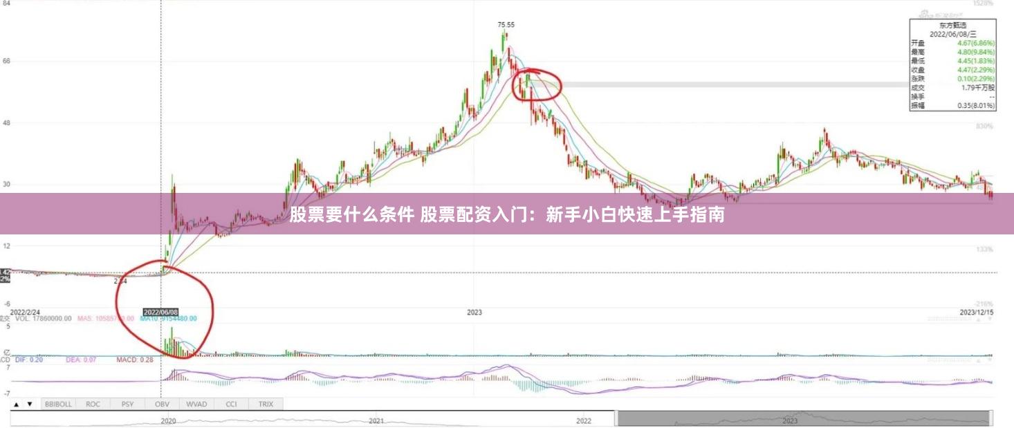 股票要什么条件 股票配资入门：新手小白快速上手指南