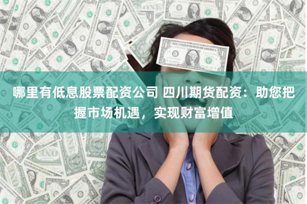 哪里有低息股票配资公司 四川期货配资：助您把握市场机遇，实现财富增值