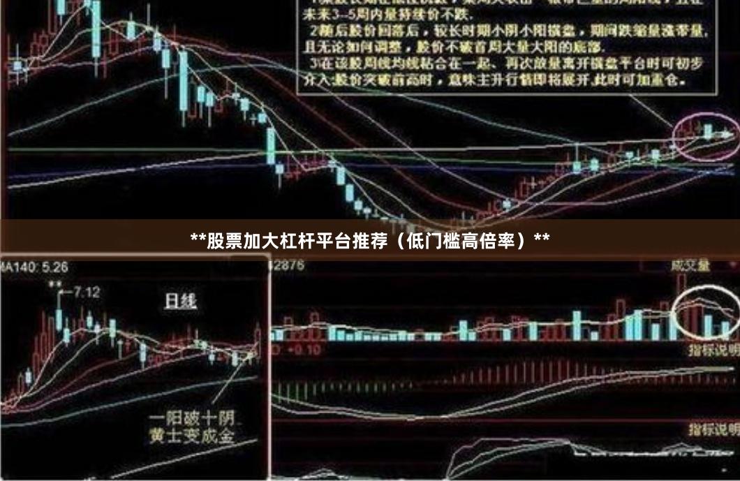 **股票加大杠杆平台推荐（低门槛高倍率）**