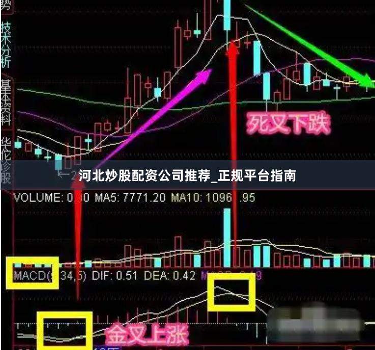 河北炒股配资公司推荐_正规平台指南