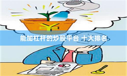 能加杠杆的炒股平台 十大排名